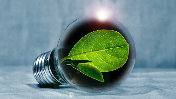 Steigende Energiekosten: Was können Unternehmen tun?
